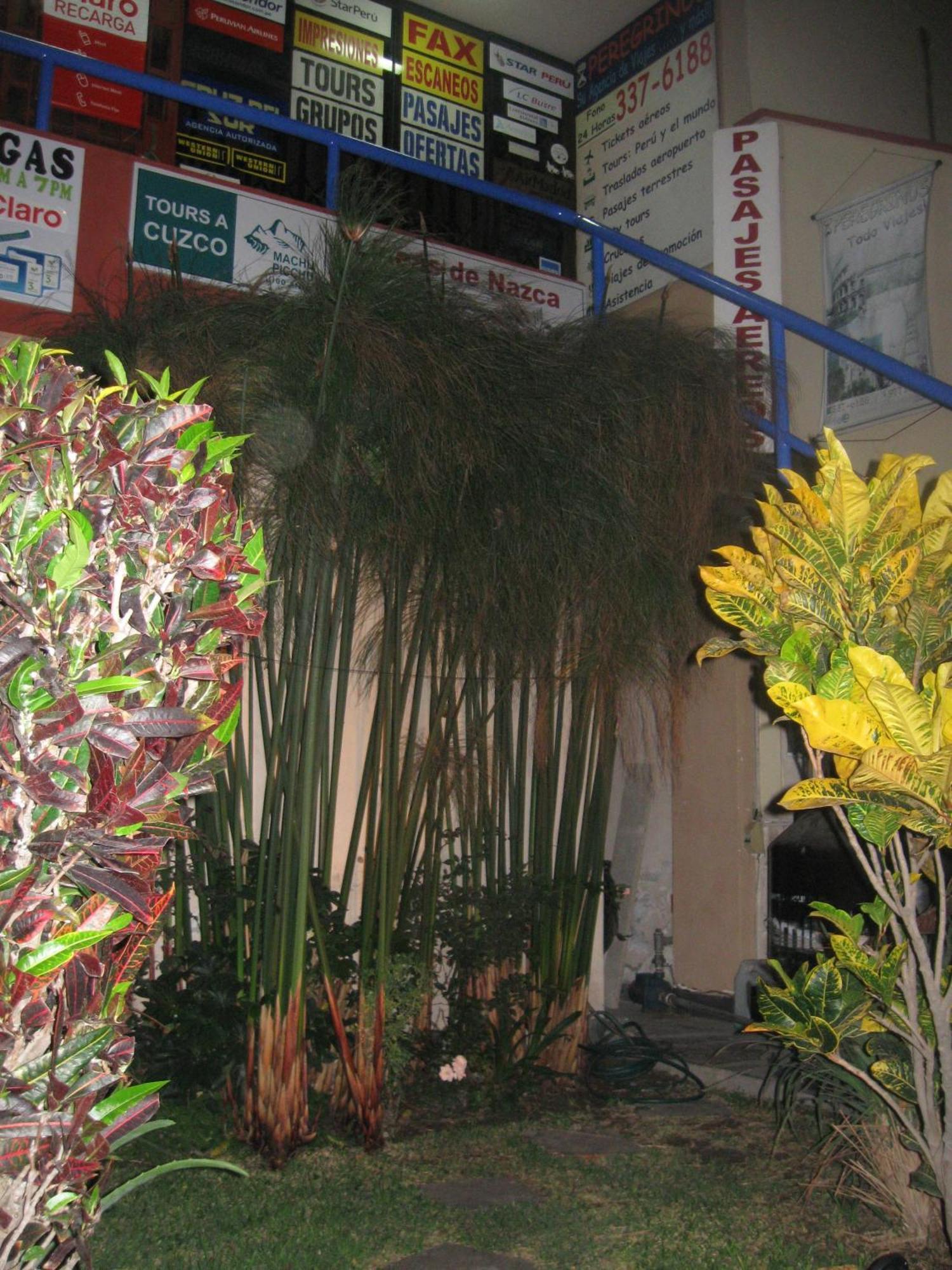 Posada Peregrinus Lima Bagian luar foto
